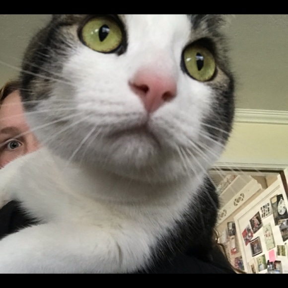 Meet your Posher, Alex - Picture 1 of 1